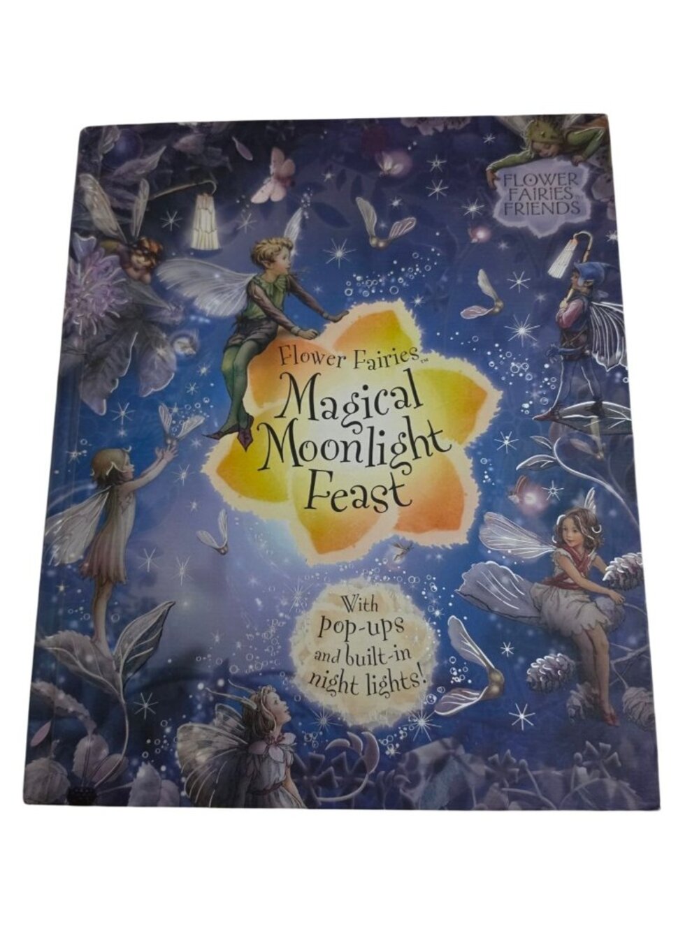 Flower Fairies Magical Moonlight Feast Pop Up Book 2006 Frederick Warne READ